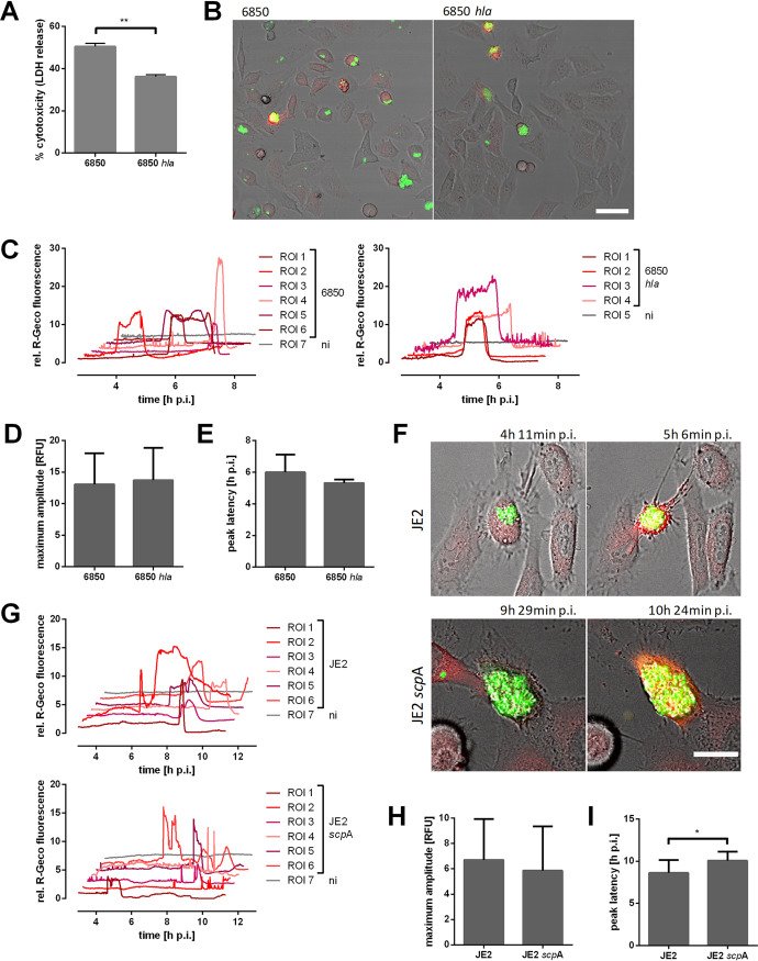 FIG 3