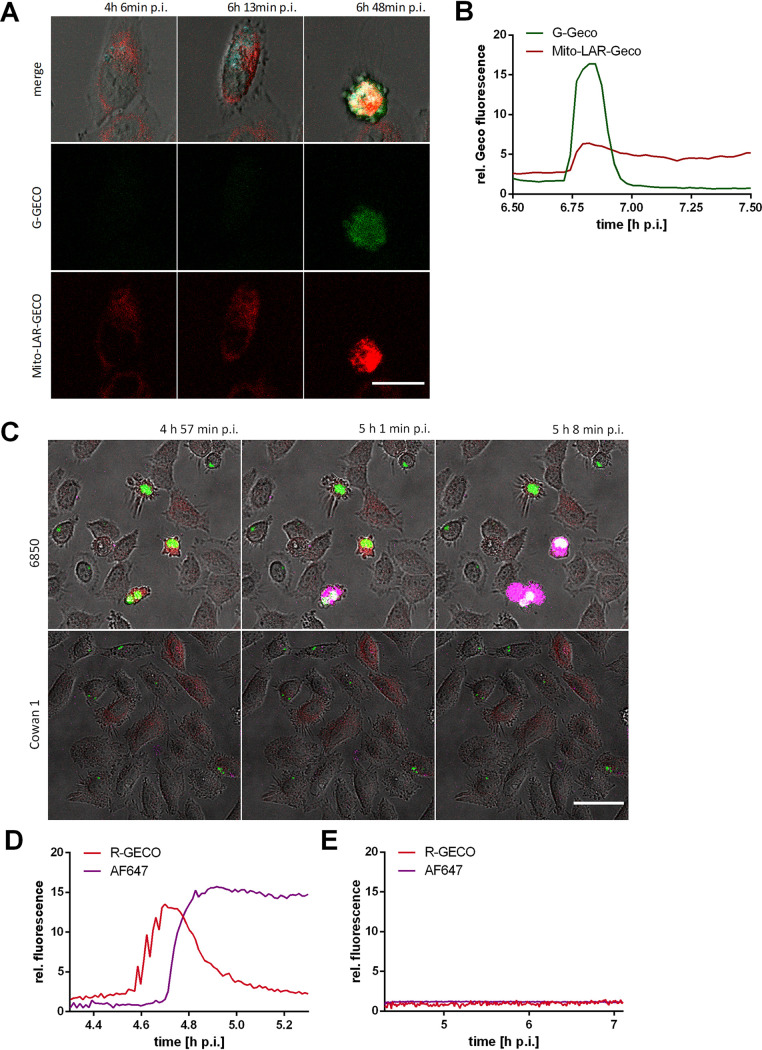 FIG 6