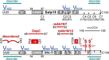 Fig. 12