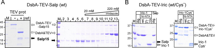 Fig. 9