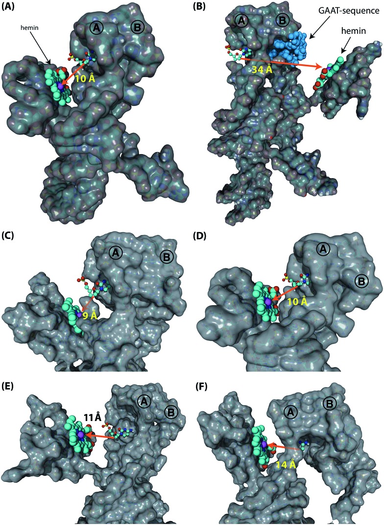 Fig. 5