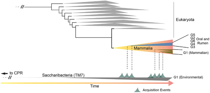 Figure 7.