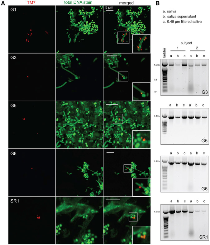 Figure 3.