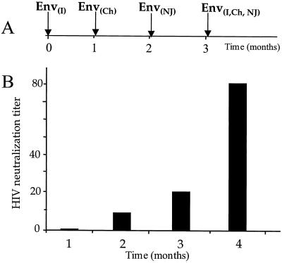 FIG. 7