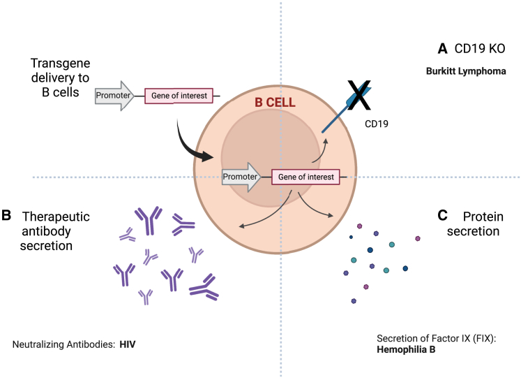 Figure 1