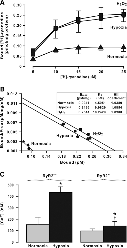 FIG. 8.