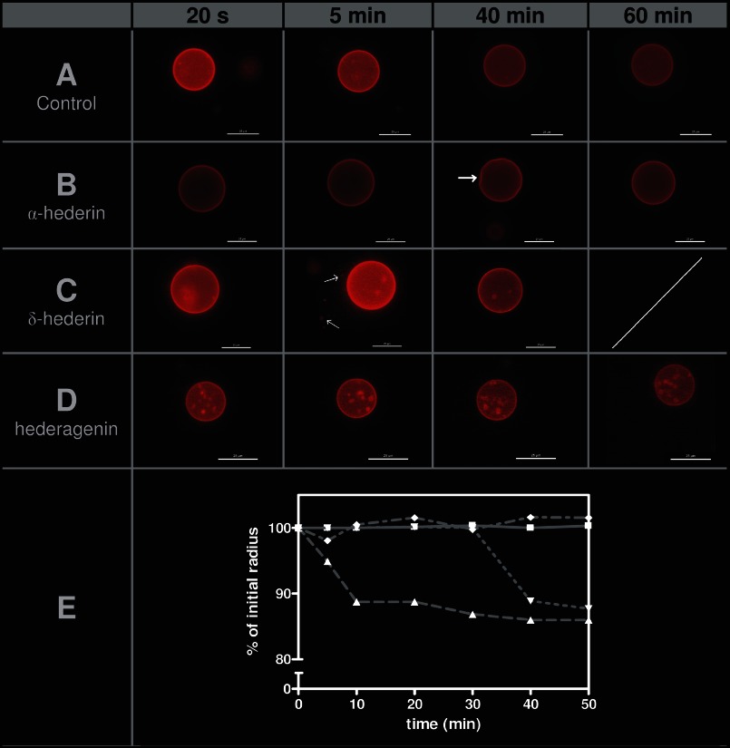 FIGURE 9.