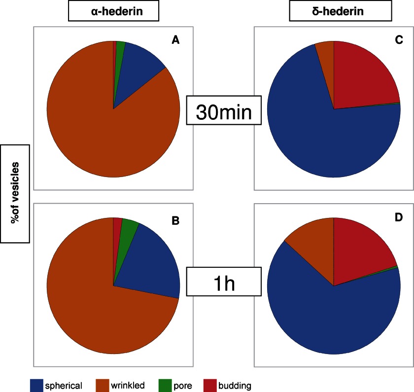 FIGURE 11.