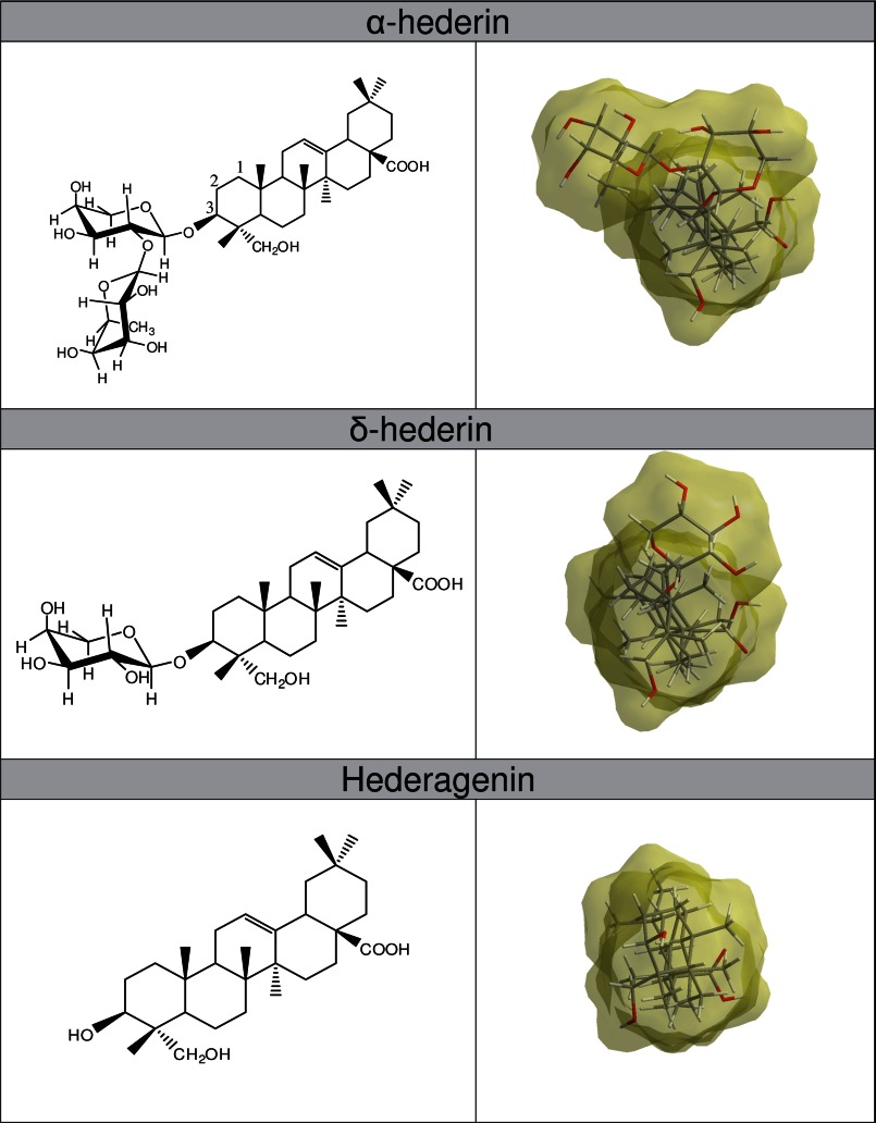 FIGURE 1.