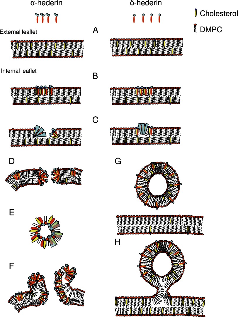 FIGURE 12.