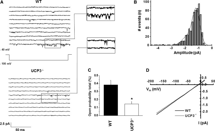 Fig.1