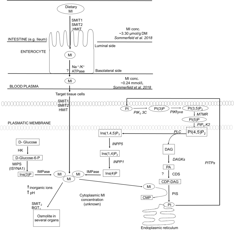 Figure 1