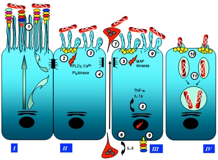 FIG. 5.