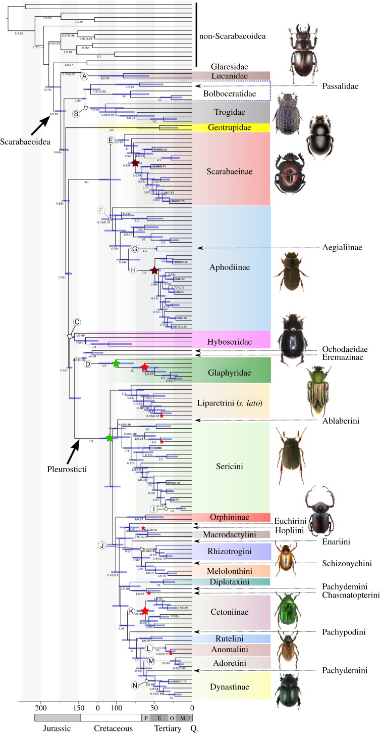 Figure 1.