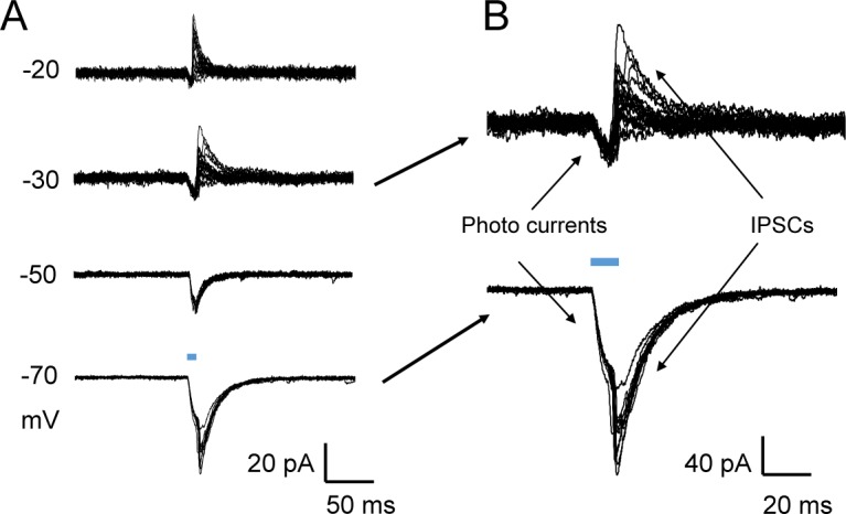 Fig 6