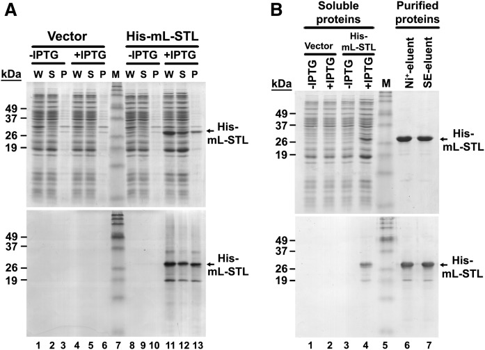 Fig. 9.