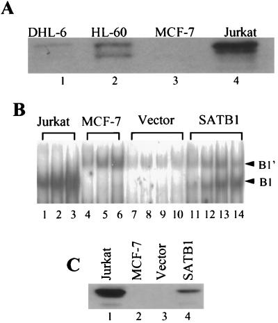 FIG. 8