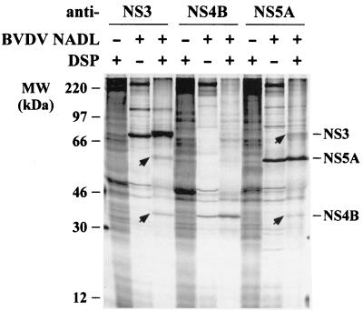 FIG. 10