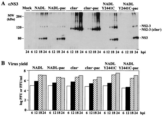 FIG. 7