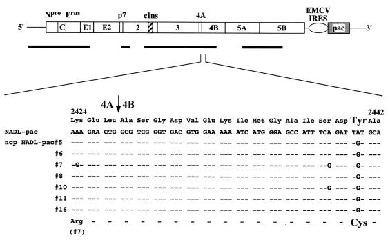 FIG. 5