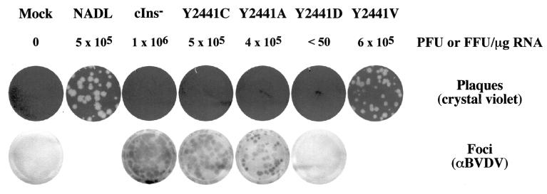 FIG. 9