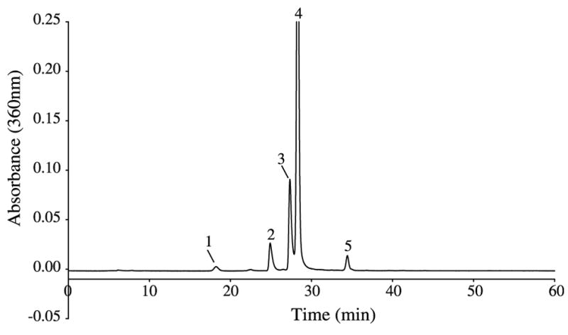 Fig. 2