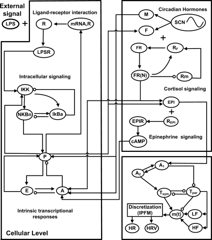 Fig. 1.