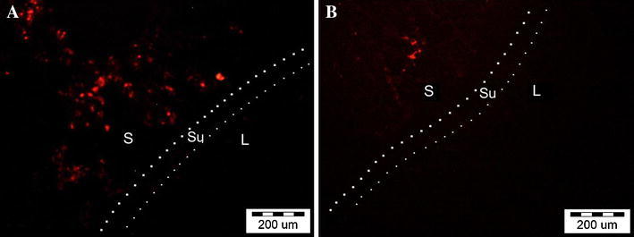 Fig. 7