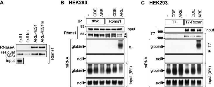 Figure 6.