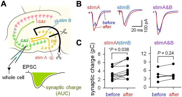 Figure 10.