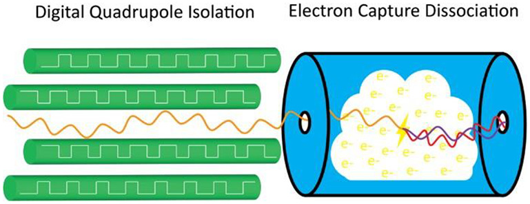 graphic file with name js3c00184_0005.jpg