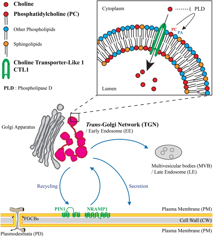 Fig 1