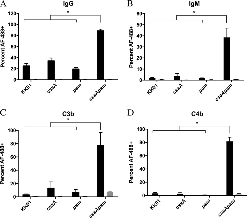 FIG 2