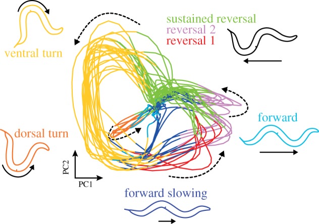 Figure 2.