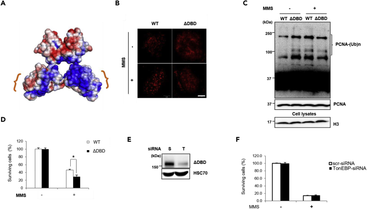 Figure 6