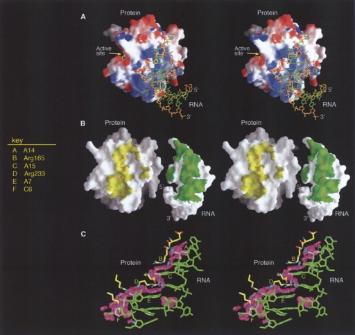 FIGURE 3.