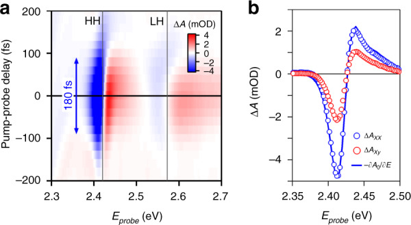 Fig. 3