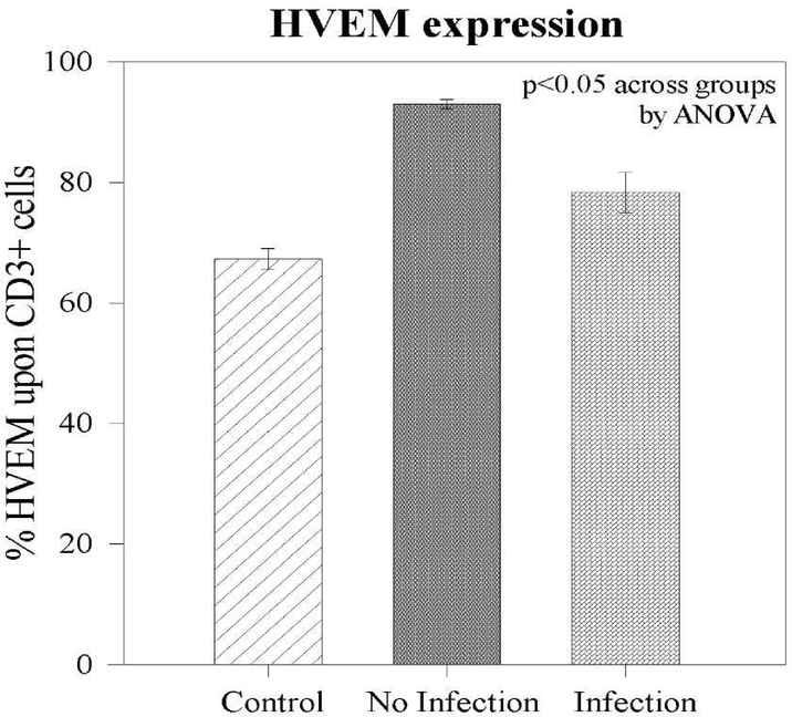 Figure 4 –