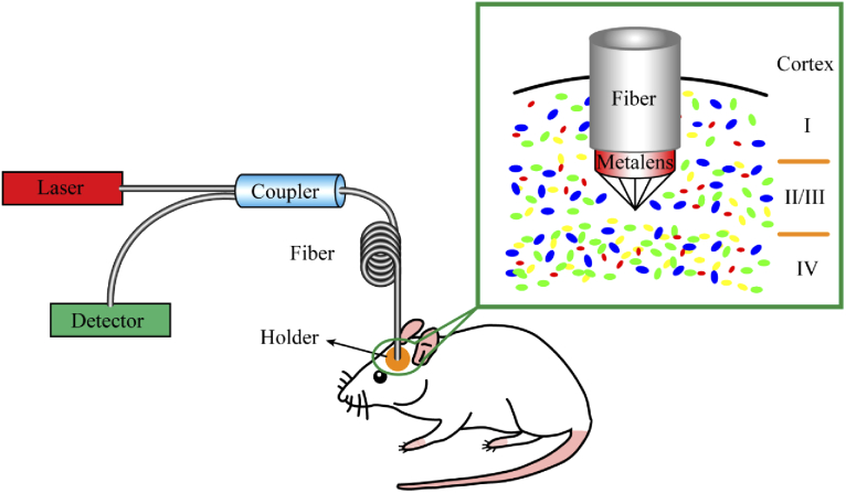 Fig. 2.