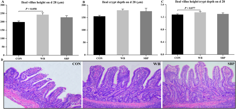 Fig. 2