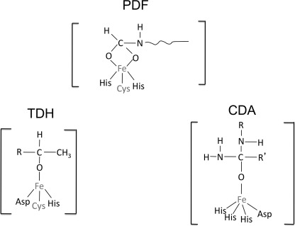 FIGURE 2.