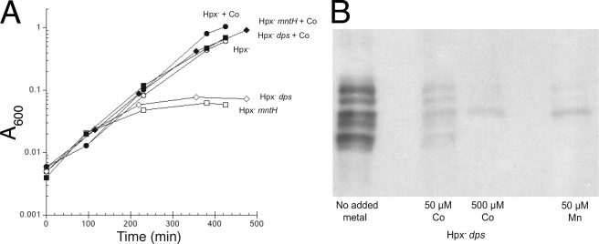 FIGURE 9.