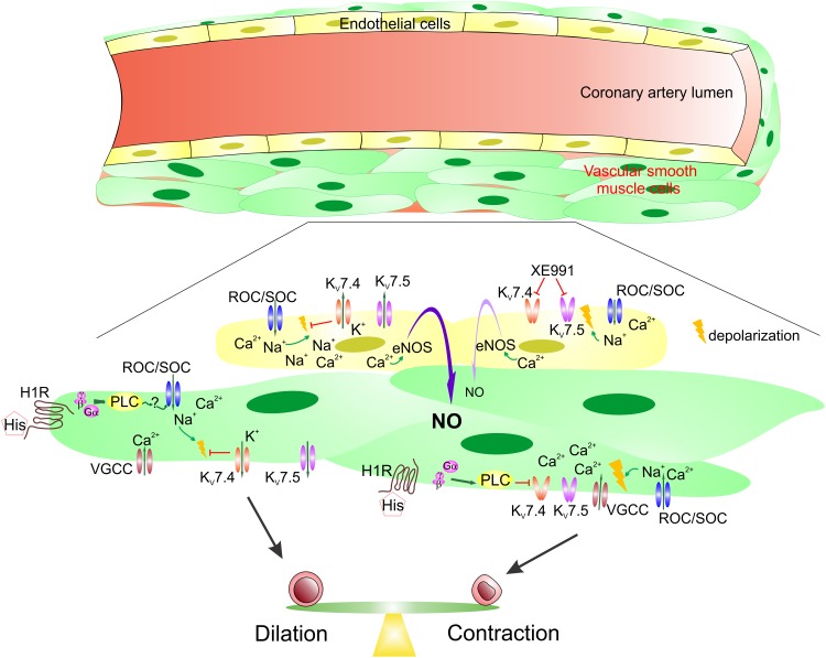 Fig 6