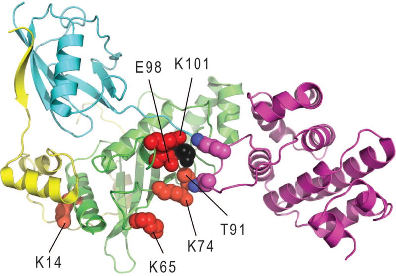 Figure 2