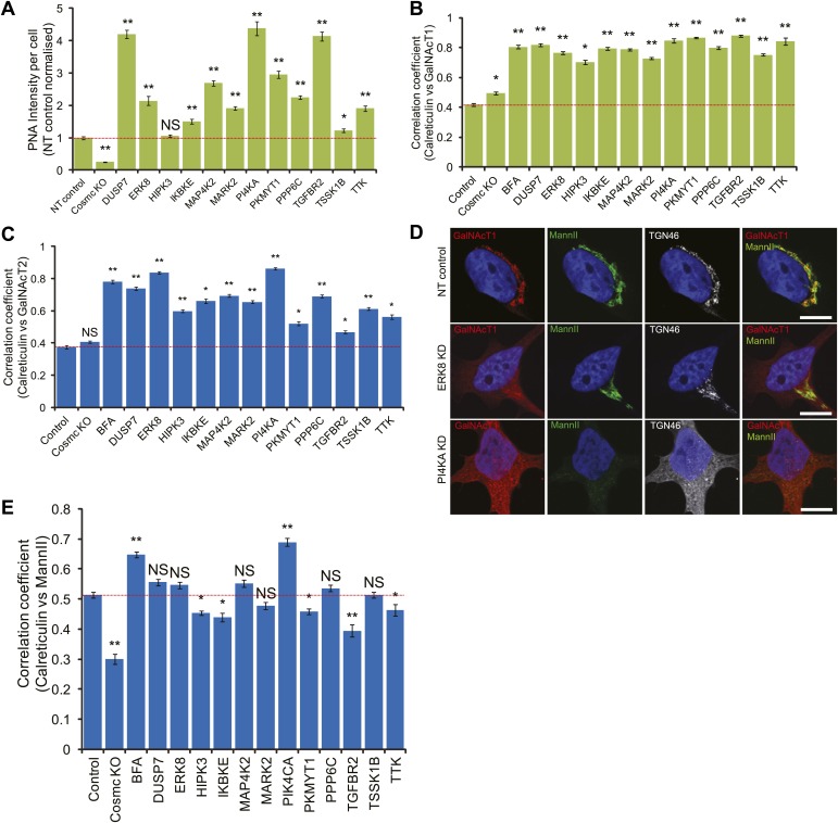 Figure 2—figure supplement 1.