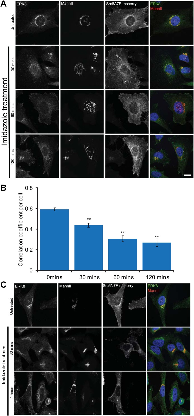 Figure 4—figure supplement 1.