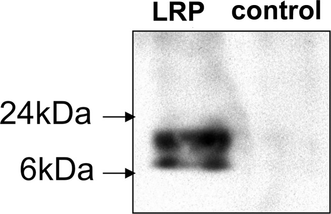 Figure 1a: