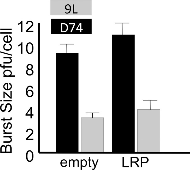 Figure 1b: