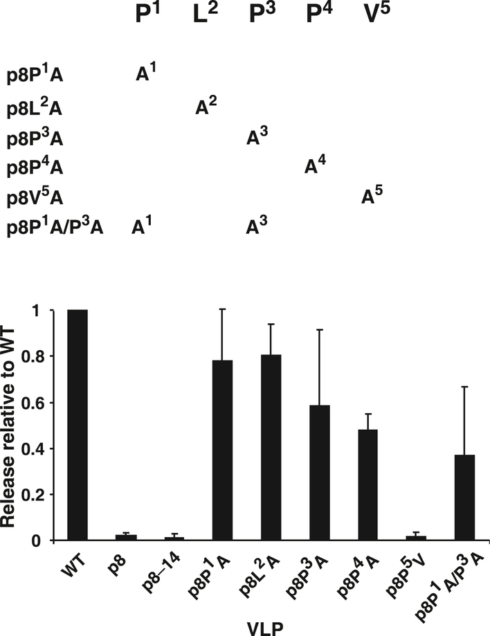 Fig. 7.