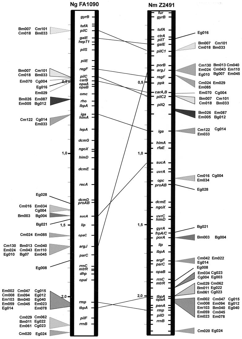 FIG. 3